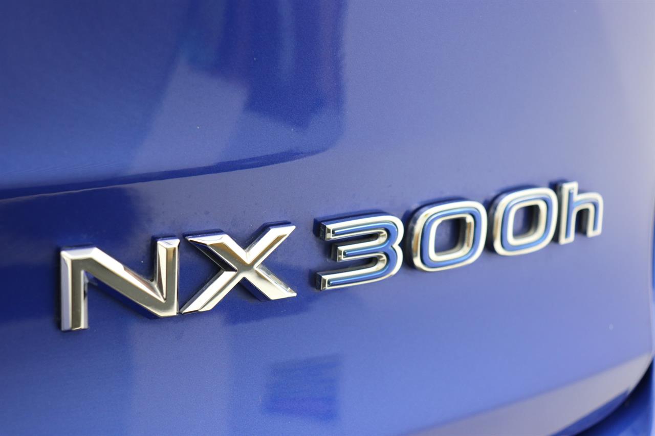 2015 Lexus NX 300h
